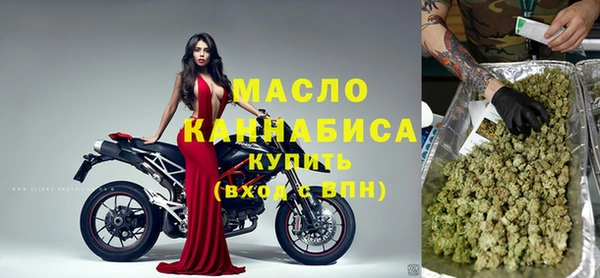 индика Верхний Тагил