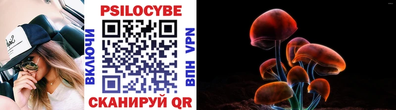 МЕГА сайт  Высоцк  Галлюциногенные грибы Magic Shrooms  хочу  